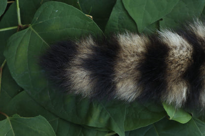 Raccoon Tail