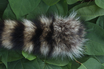 Raccoon Tail