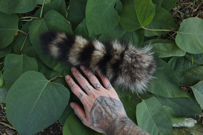 Raccoon Tail