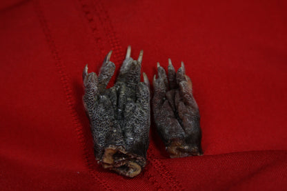 Opossum Paws