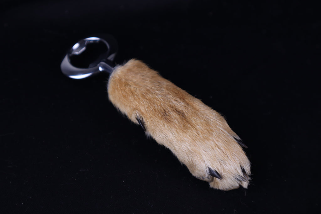 Coyote Paw Bottle Opener