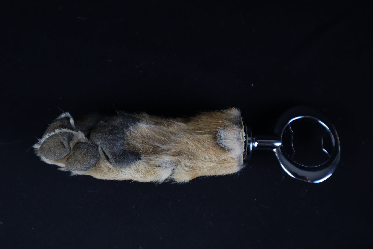 Coyote Paw Bottle Opener