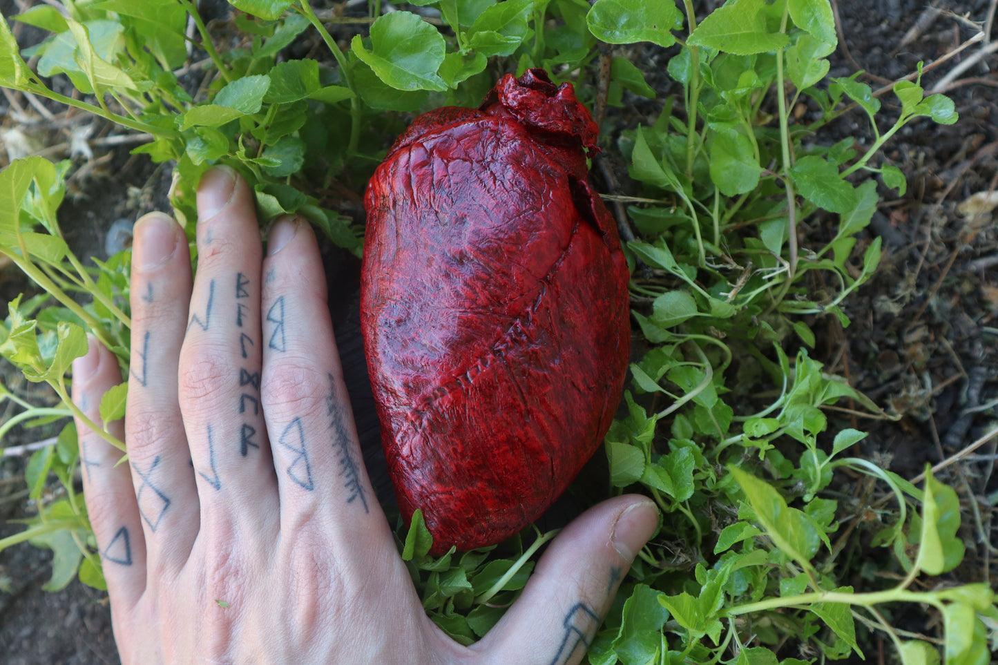 Reserved for Brandon - Dry Preserved Whitetail Deer Heart