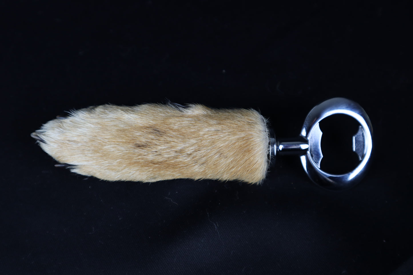 Coyote Paw Bottle Opener