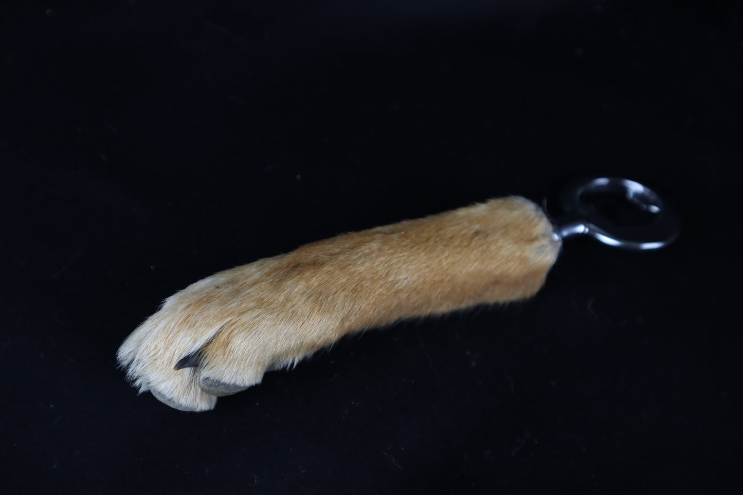 Coyote Paw Bottle Opener