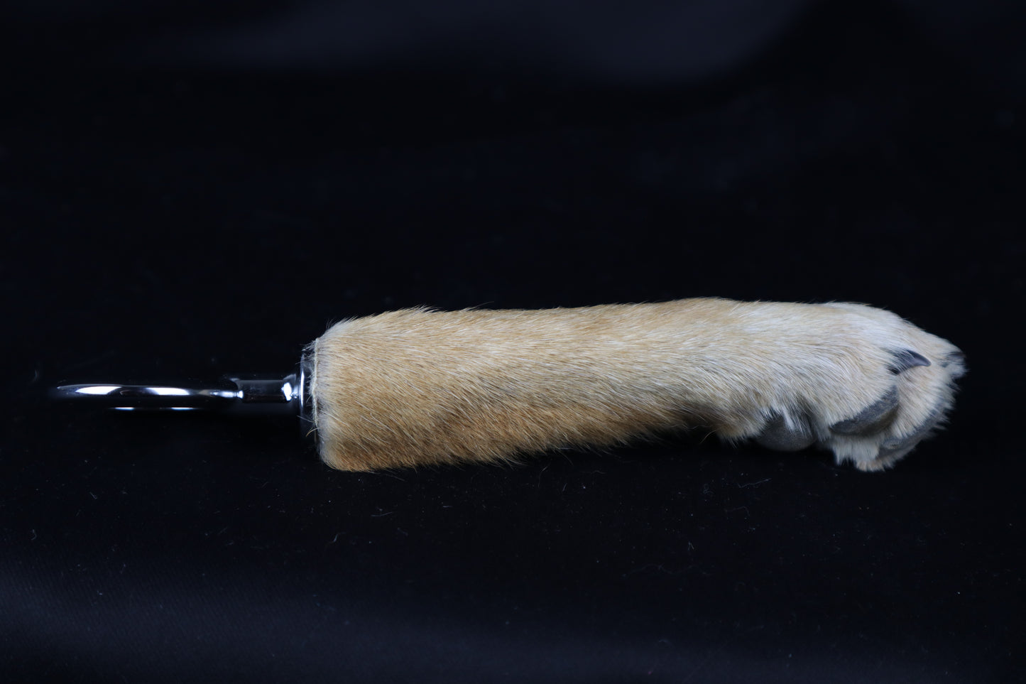 Coyote Paw Bottle Opener