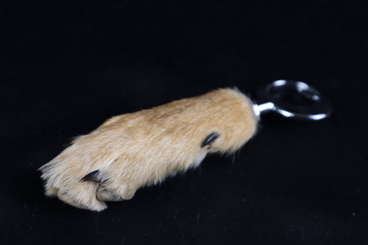 Coyote Paw Bottle Opener