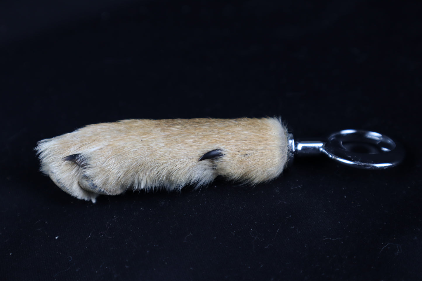 Coyote Paw Bottle Opener