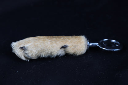 Coyote Paw Bottle Opener