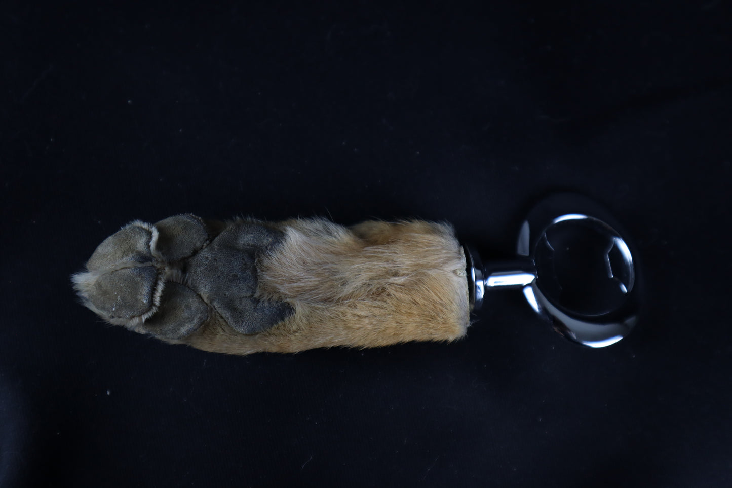 Coyote Paw Bottle Opener