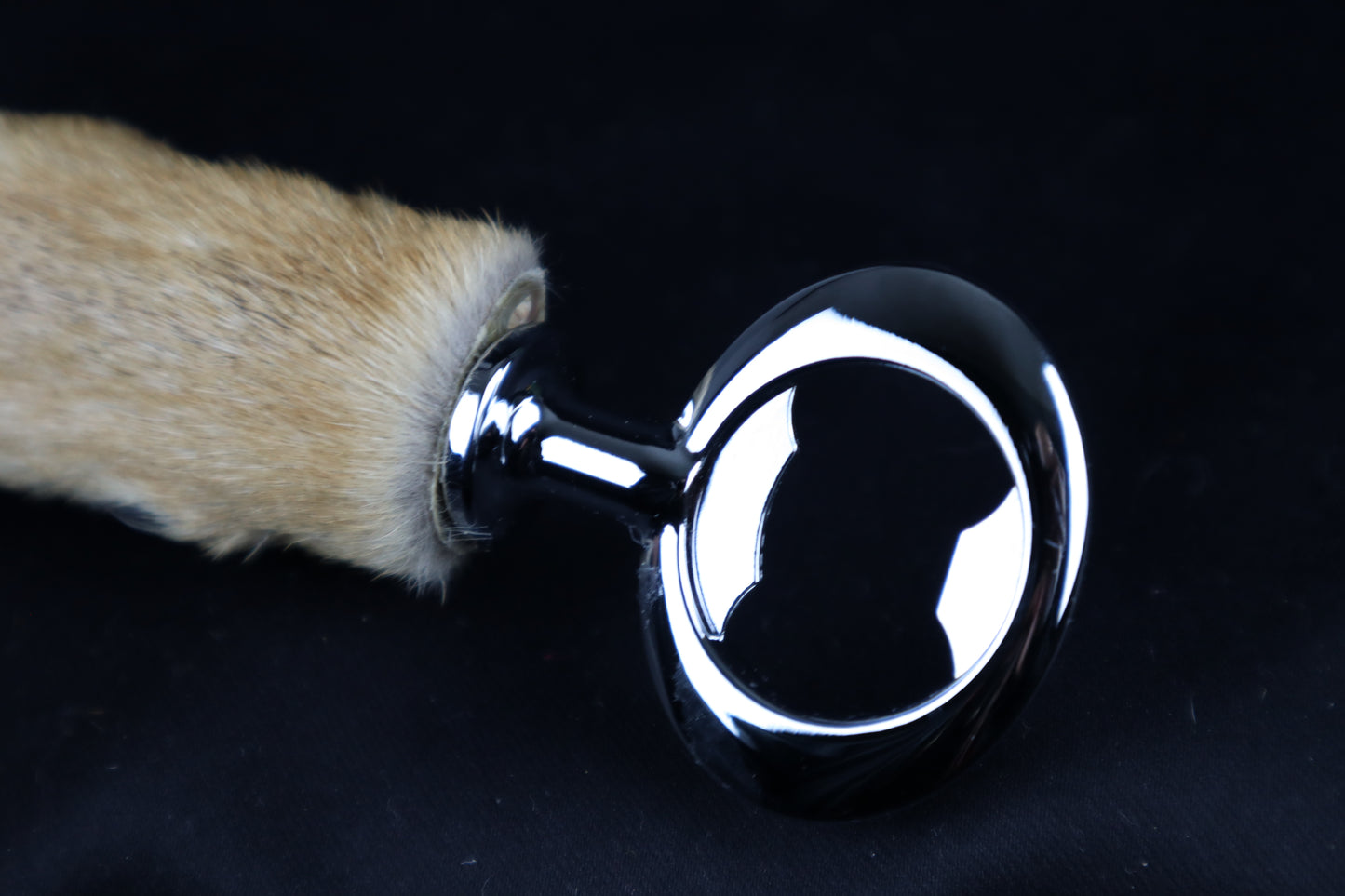 Coyote Paw Bottle Opener