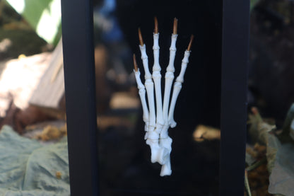 Raccoon Paw Articulation