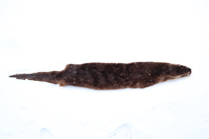 River Otter Wall Hanger