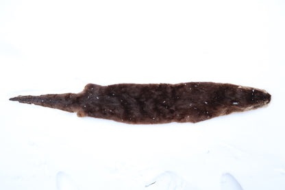 River Otter Wall Hanger