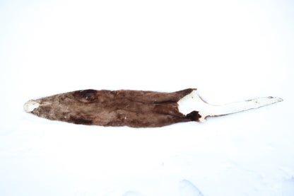 River Otter Wall Hanger