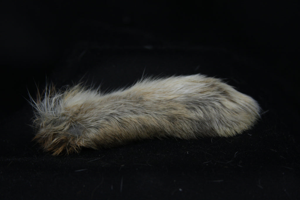 Cottontail Rabbit Feet