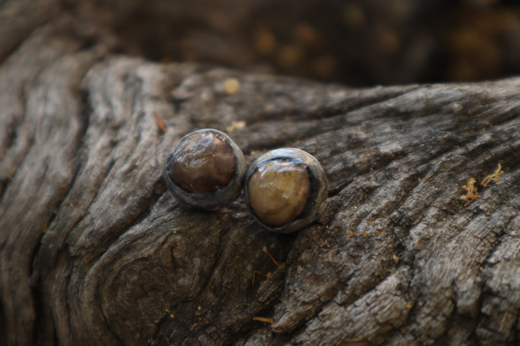 Dry Preserved Raccoon Eyeballs