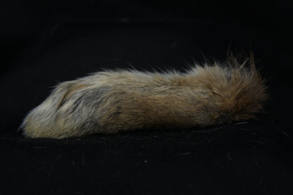 Cottontail Rabbit Feet