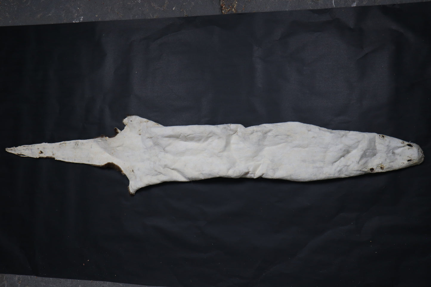 River Otter Wall Hanger