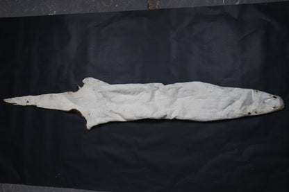 River Otter Wall Hanger
