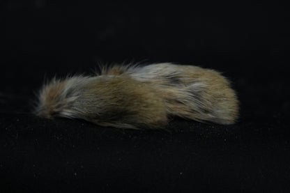 Cottontail Rabbit Feet