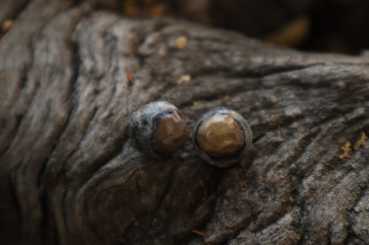 Dry Preserved Raccoon Eyeballs