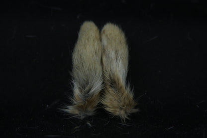 Cottontail Rabbit Feet