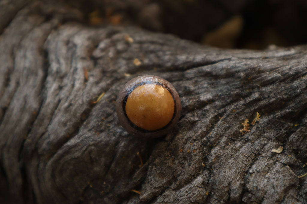 Dry Preserved Bobcat Eyeball