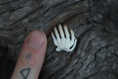 Mole Paw Articulation