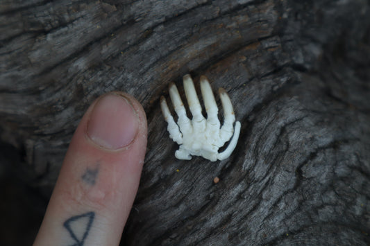 Mole Paw Articulation