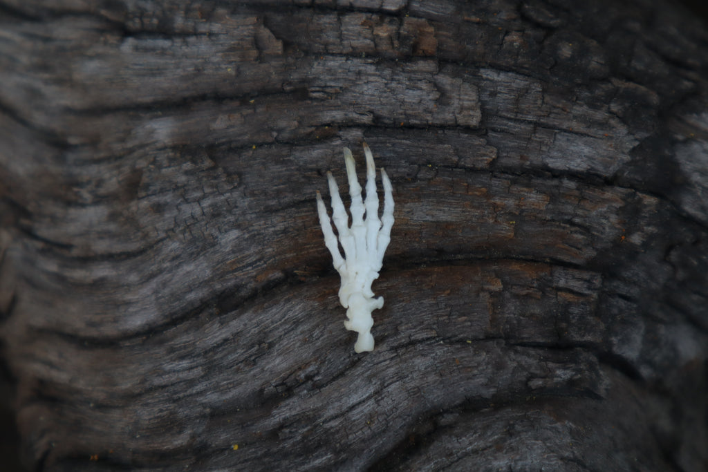 Mole Paw Articulation