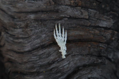 Mole Paw Articulation