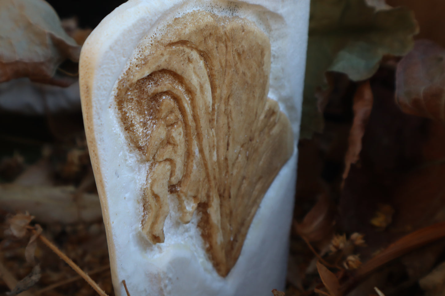 The Last Judgement Bone Carving