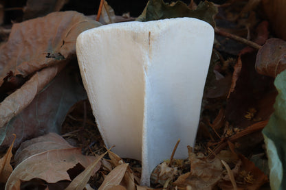 The Last Judgement Bone Carving