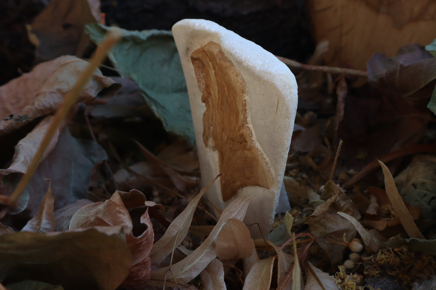 The Last Judgement Bone Carving