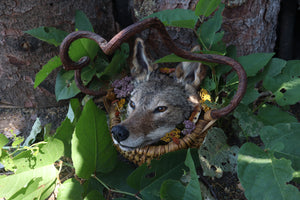 Coyote Harvest Basket