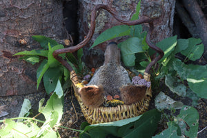 Coyote Harvest Basket