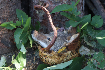 Coyote Harvest Basket