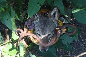 Coyote Harvest Basket