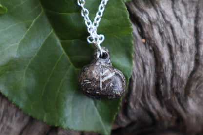 Raccoon Eyeball Talisman