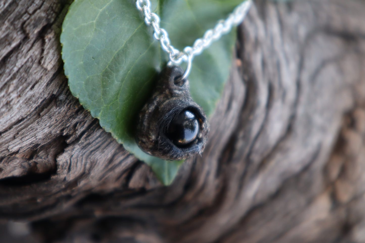 Raccoon Eyeball Talisman