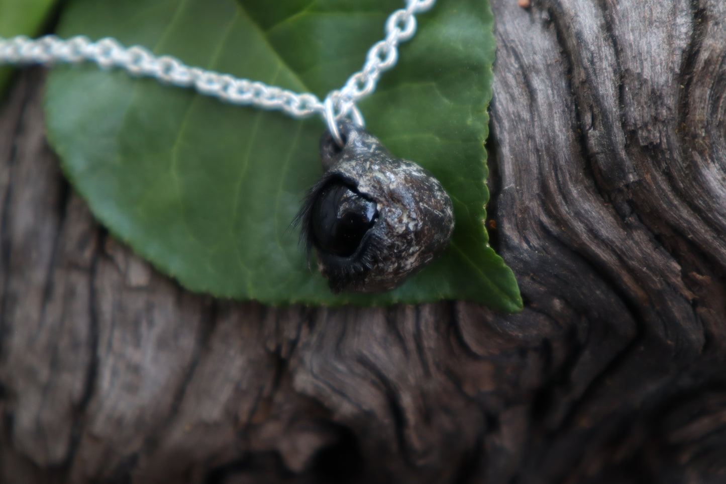 Raccoon Eyeball Talisman