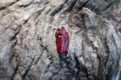 Dry Preserved Mole Heart