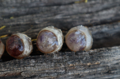 Crystal Coyote Eyes