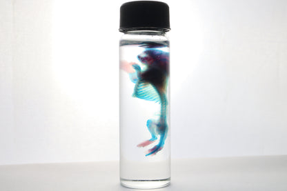 Diaphonized Baby Mouse