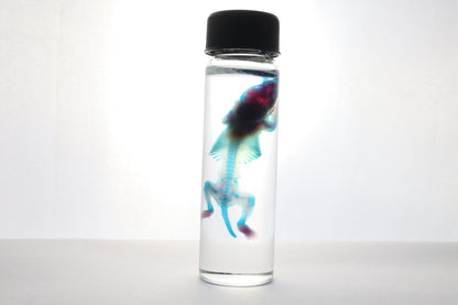 Diaphonized Baby Mouse