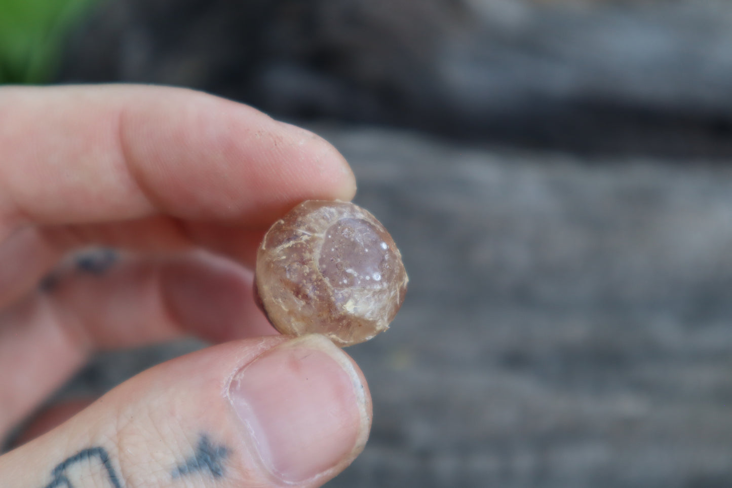 Crystal Coyote Eyes