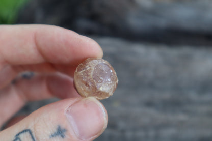 Crystal Coyote Eyes