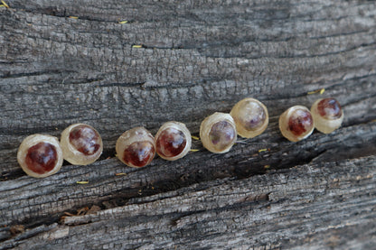 Crystal Red Fox Eyes