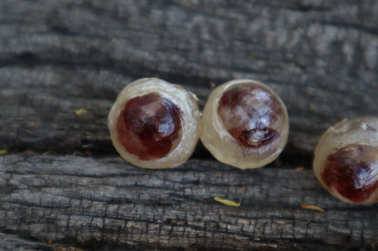 Crystal Red Fox Eyes